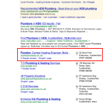 Plumbing website result