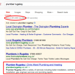 Plumber Website Result