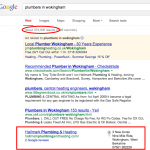 Plumber Website Result